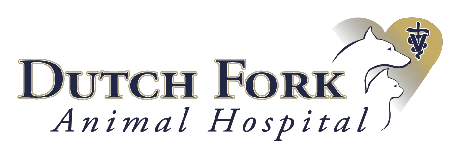 Dutch Fork Animal Hospital Promo Codes