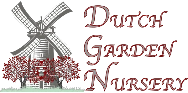 Dutch Garden Promo Codes