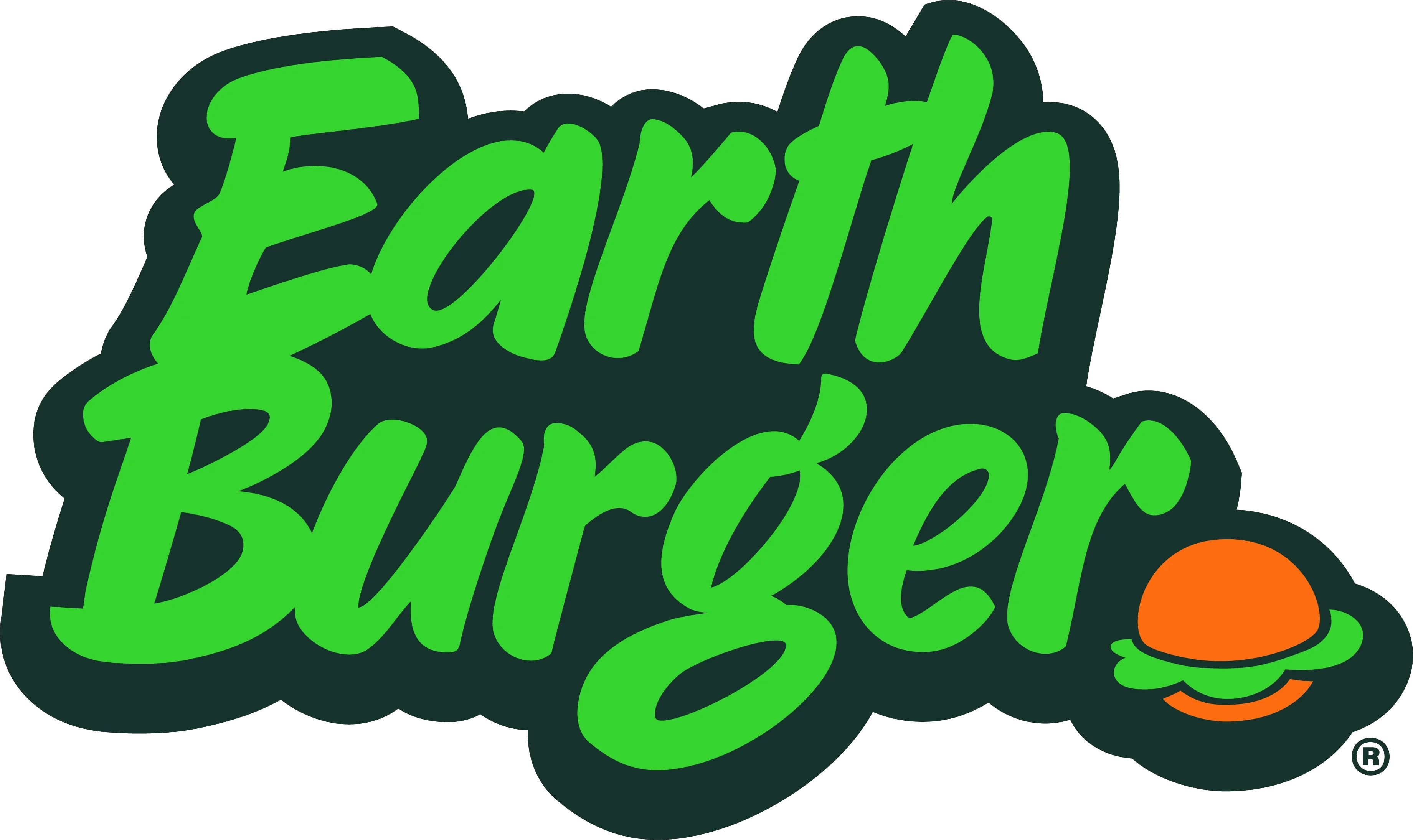 Earth Burger Promo Codes