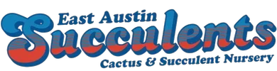 East Austin Succulents Promo Codes