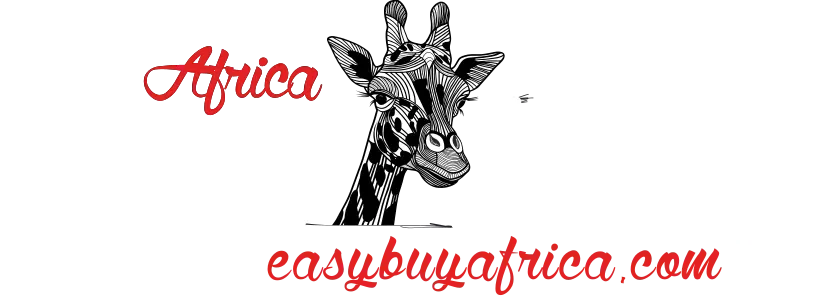 EasybuyAfrica Promo Codes