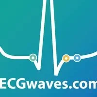 Ecg Waves Promo Codes