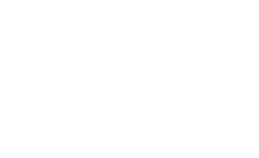 Economy Honda Coupons