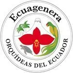 Ecuagenera Promo Codes