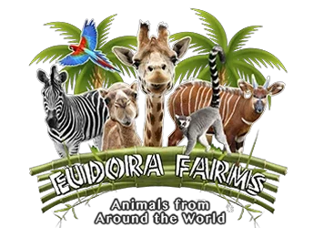 Eudora Farms Promo Codes