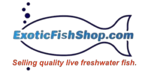 Exotic Fish Shop Promo Codes