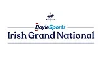 Fairyhouse Horse Promo Codes