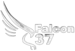 Falcon 37 Promo Codes