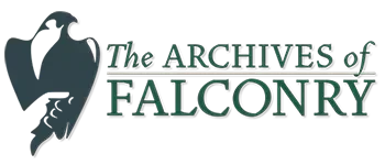 Falconry Promo Codes