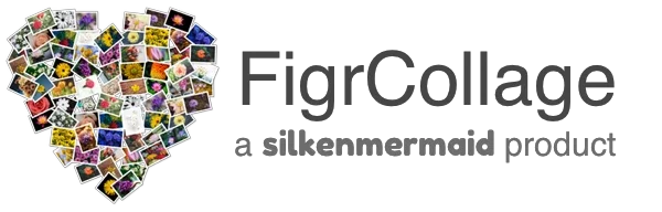 FigrCollage Promo Codes