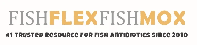 FishFlexFishMox Promo Codes