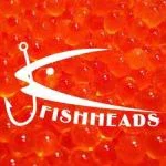 Fishheads Canada Promo Codes