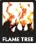 Flame Tree Publishing Promo Codes