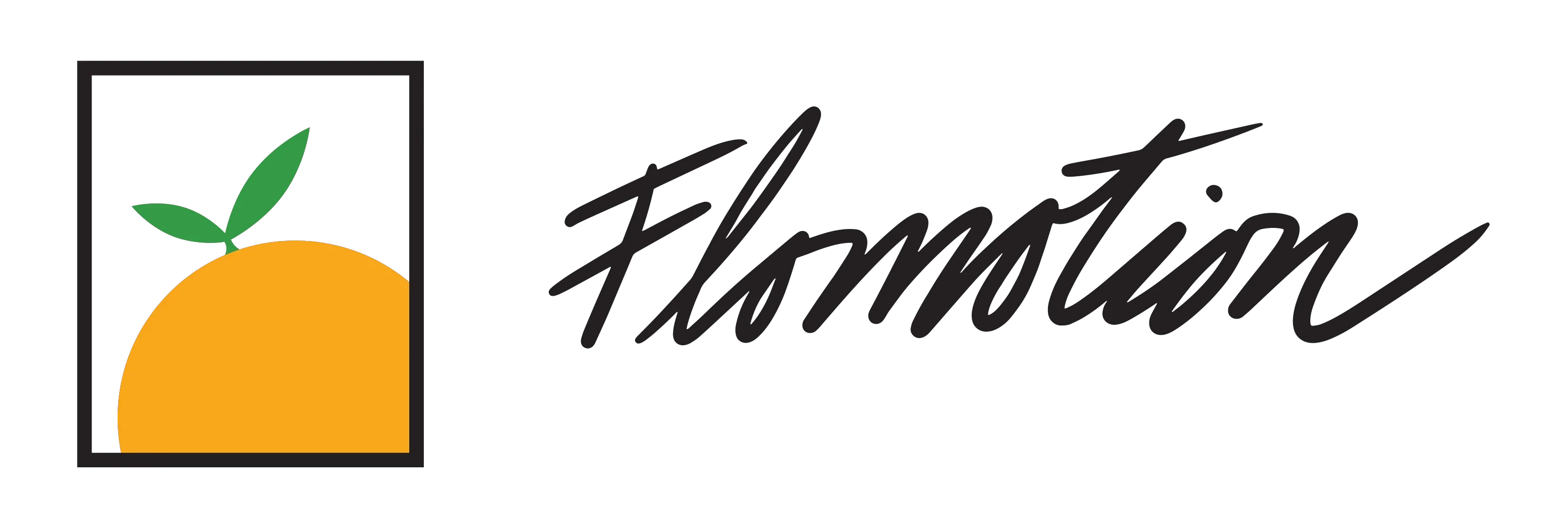 Flomotion Promo Codes