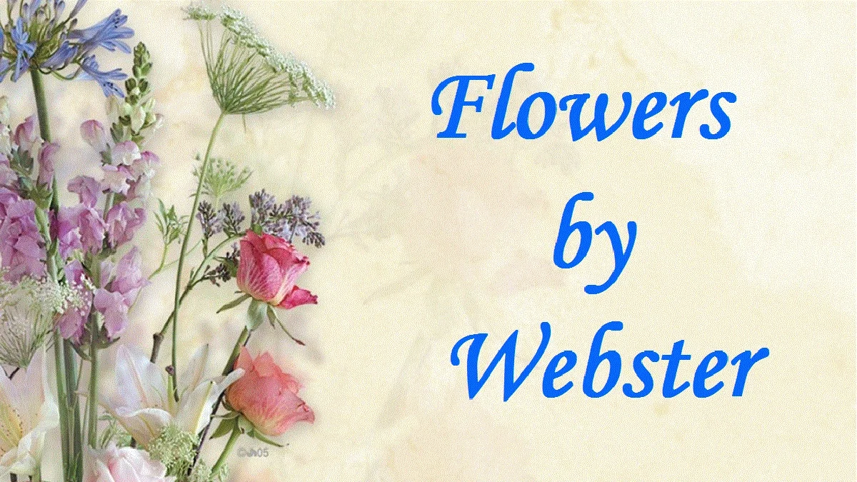 Flowers By Webster Promo Codes