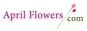 Flowers Ireland Promo Codes