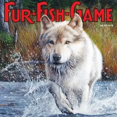 Fur Fish Game Coupons