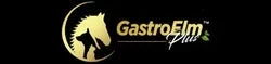 GastroElm Promo Codes