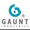 Gaunt Industries Promo Codes