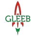 Gleeb Promo Codes