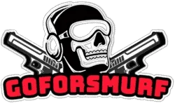 Goforsmurf Promo Codes