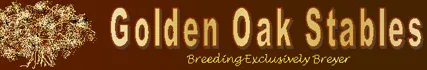 Golden Oak Stables Promo Codes