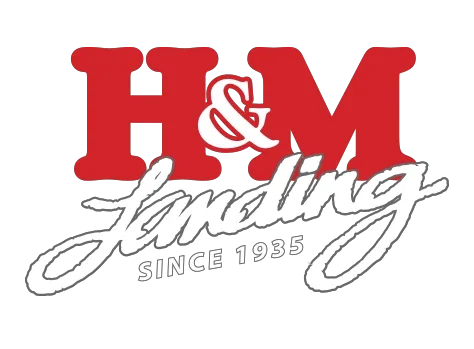 H&M Landing Coupons