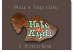 Hale Napili Promo Codes