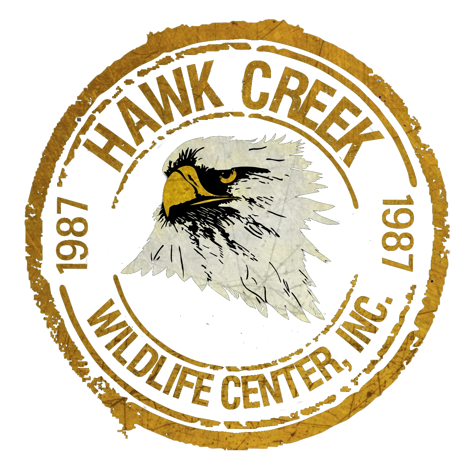 Hawk Creek Promo Codes