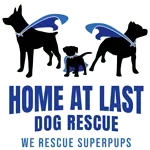 Home At Last Dog Rescue Promo Codes