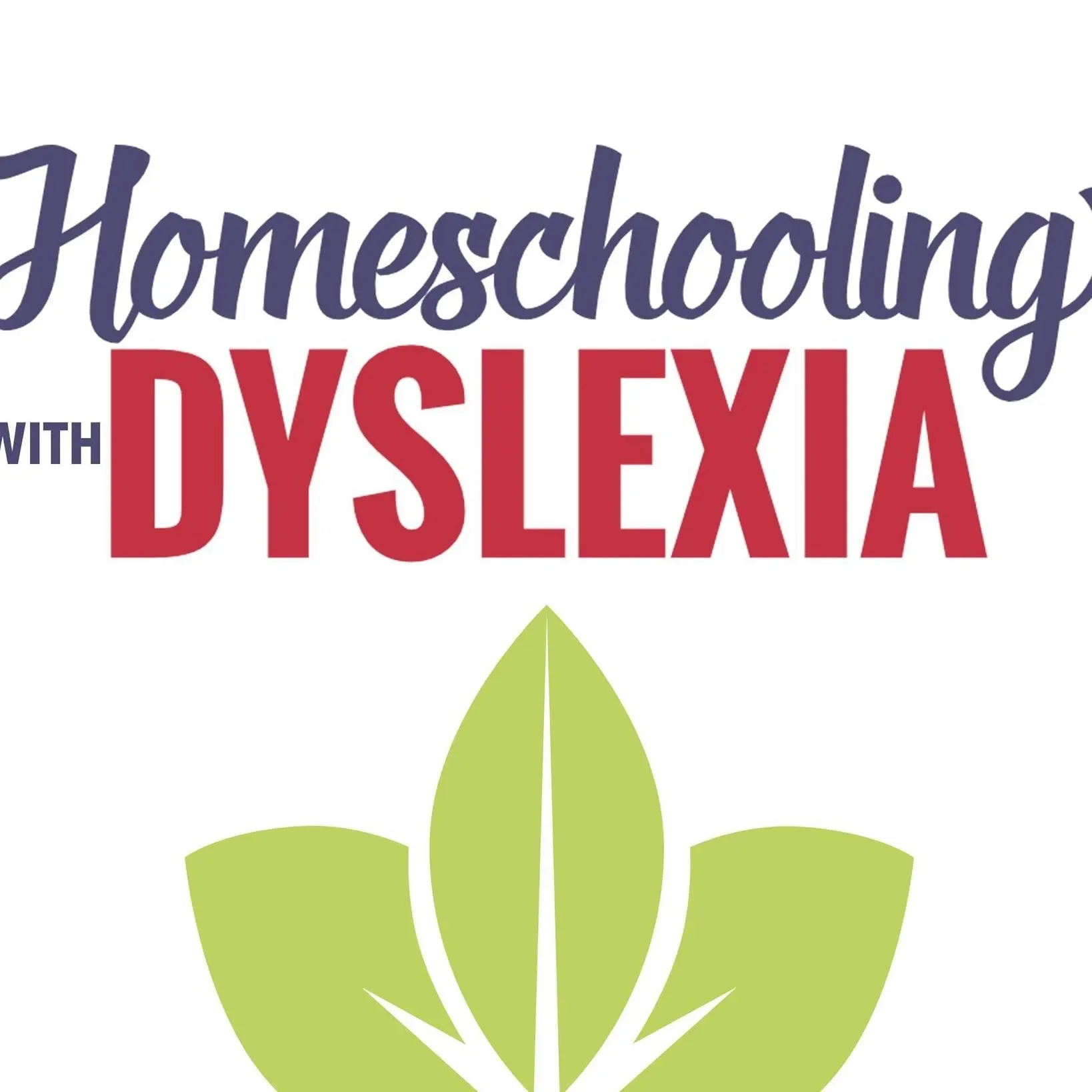 Homeschooling With Dyslexia Promo Codes