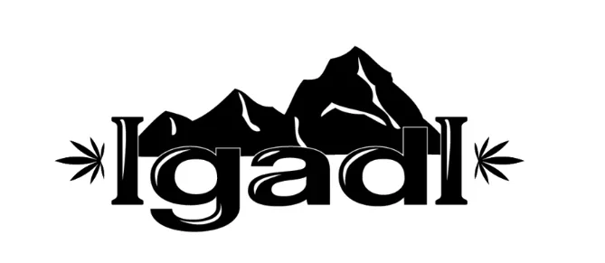 Igadi Daily Promo Codes