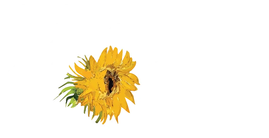 Immersive Van Gogh Chicago Promo Codes