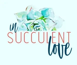 In Succulent Love Promo Codes