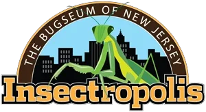 Insectropolis Promo Codes