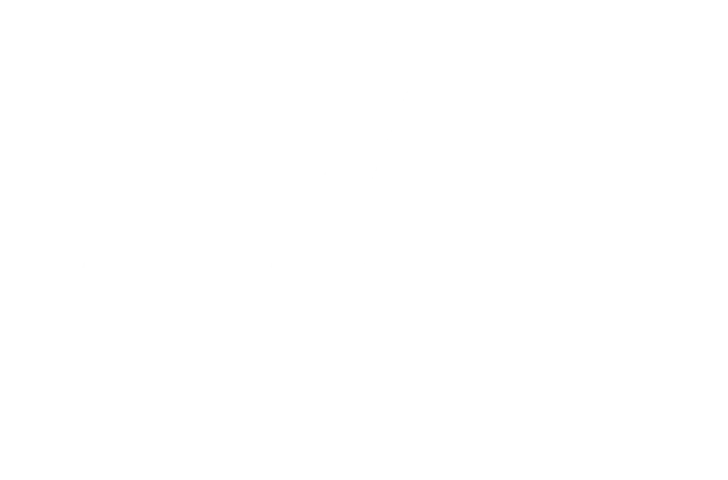 Johnny ZS Pizza Promo Codes