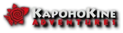 Kapohokine Promo Codes