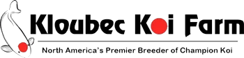 Kloubec Koi Promo Codes