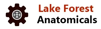 Lake Forest Anatomicals Promo Codes