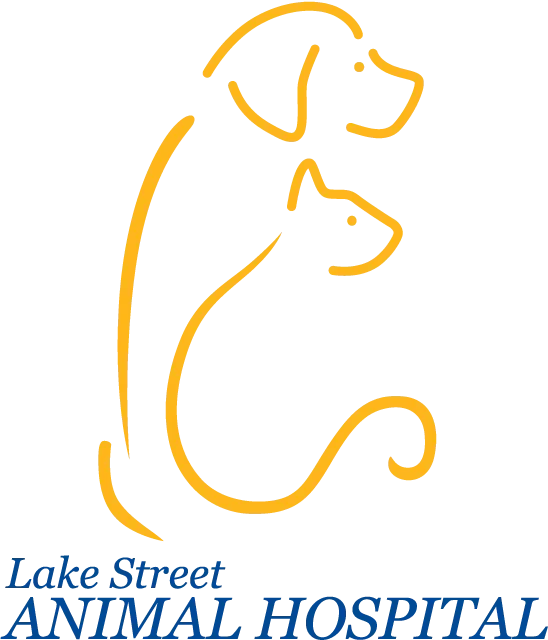 Lake Street Animal Hospital Promo Codes