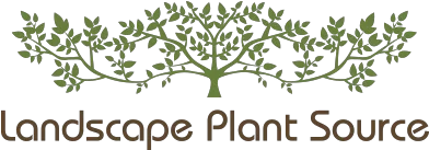 Landscape Plant Source Coupons