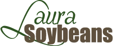 Laura Soybeans Promo Codes