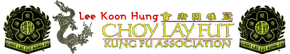 Lee Koon Hung Kung Fu Coupons