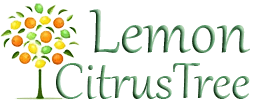 Lemon Citrus Tree Promo Codes