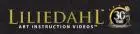 Liliedahl Art Video Promo Codes