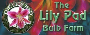 Lilypadbulbs Promo Codes