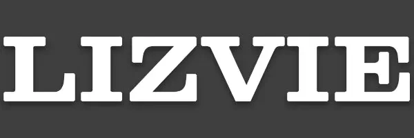 Lizvie Promo Codes