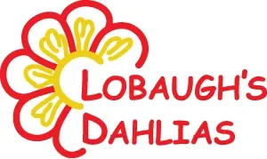 Lobaugh's Dahlias Coupons