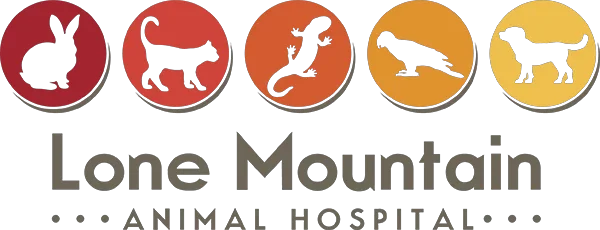 Lone Mountain Animal Hospital Promo Codes