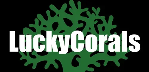 Lucky Corals Promo Codes